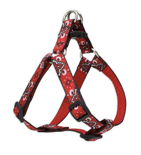 Lupine 15-21 Harn 3/4 WildWes