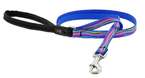 Lupine 6 ft 1/2 Ripple Creek