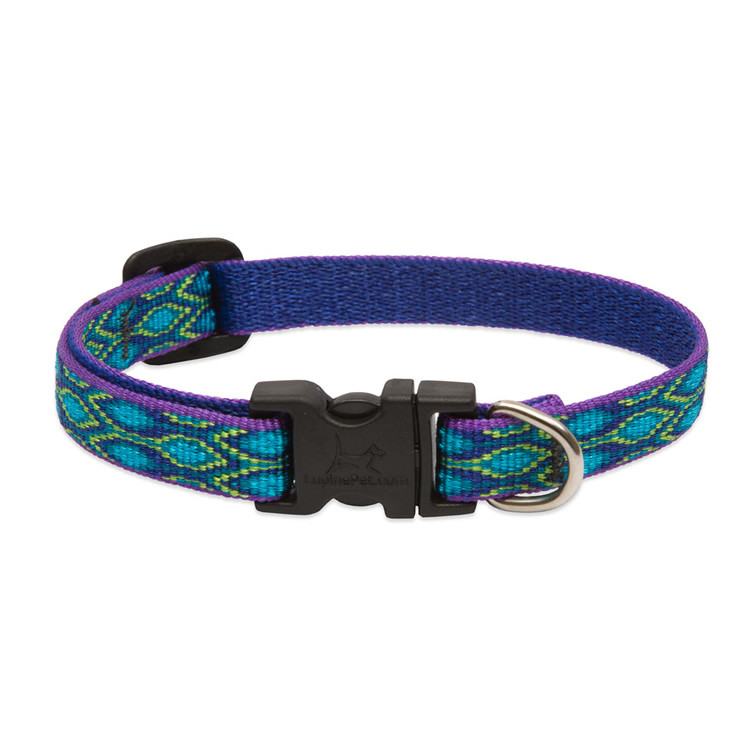 Lupine 12-20 1Rain Song