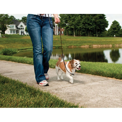 Gentle Leader HC Sm bk