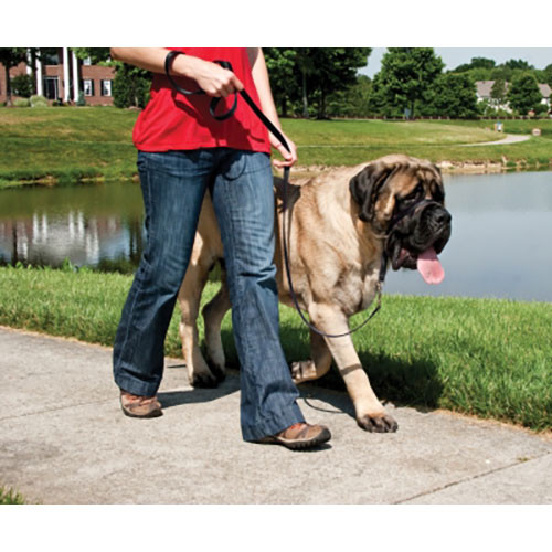 Premier Gentle Leader HC XL bk