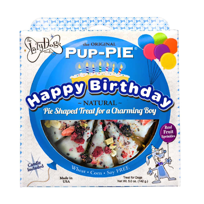 LazyDog HappyBdayPup-Pie Boy