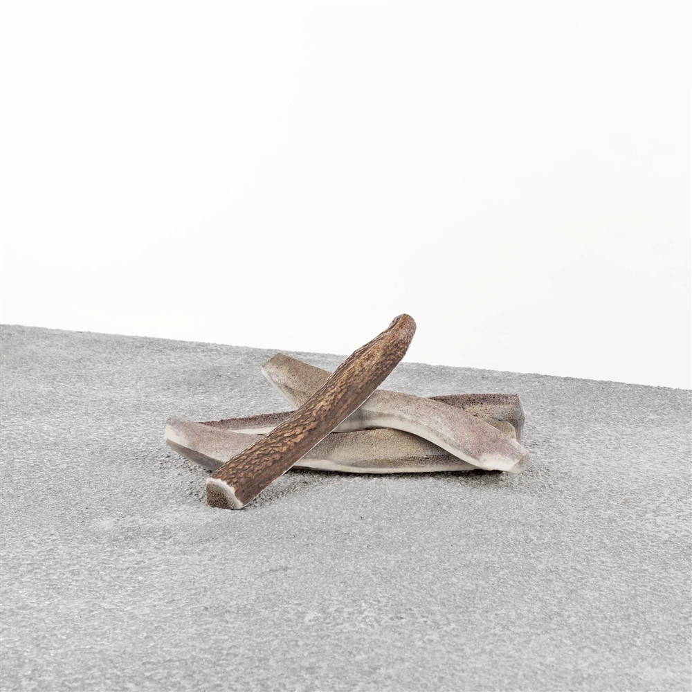 Stag Antler Split LG