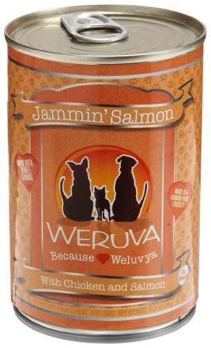 Weruva D Jammin' Salmon 14oz