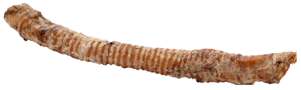 Whole Krunchie Tubes