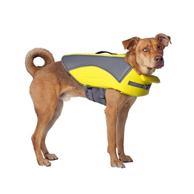 Aqua dog preserver sm