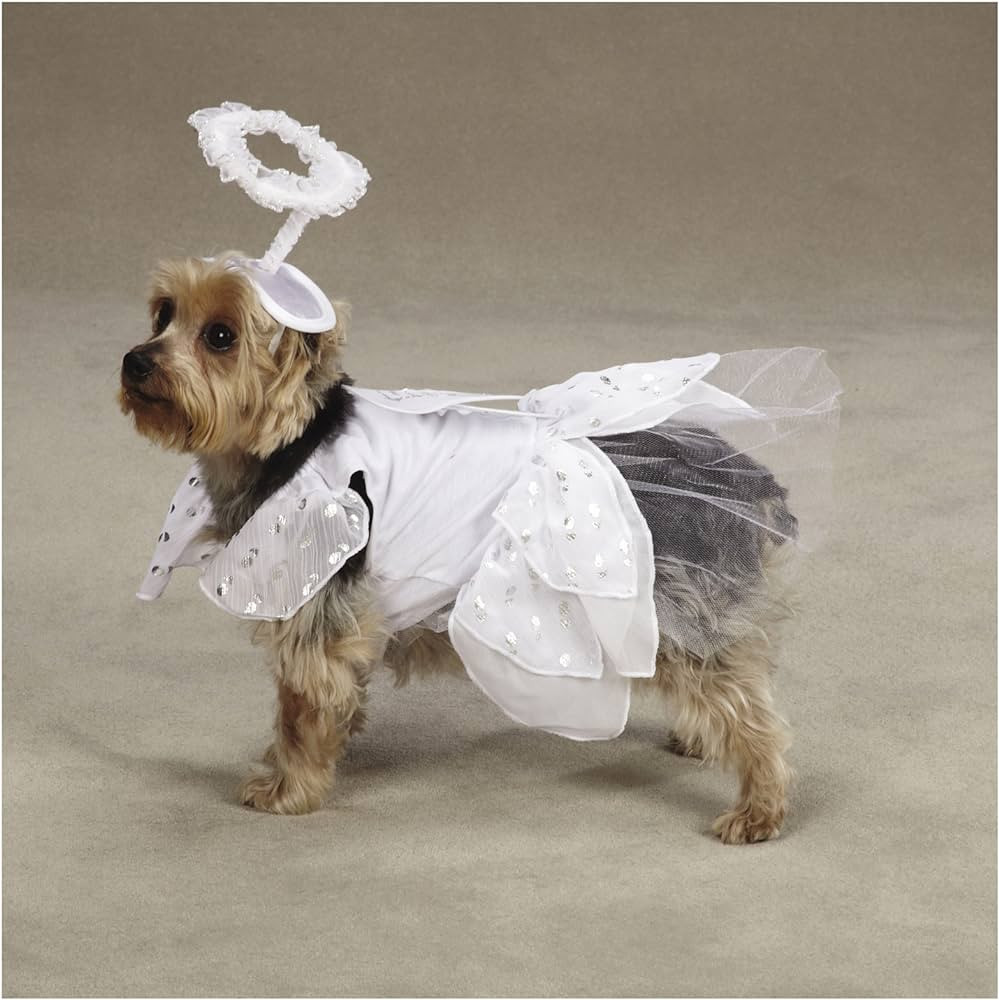 CC Angel Costume M