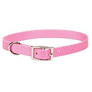Coastal 12 Pink Collar