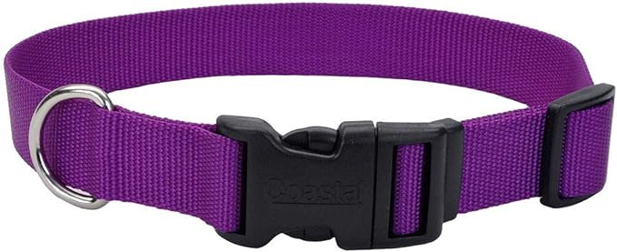 Coast'l 12 Purple Collar