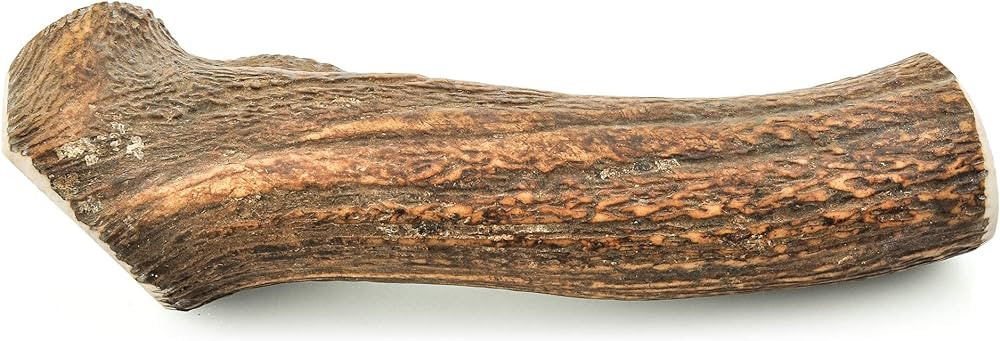 Elk Antler Extra Large Whole