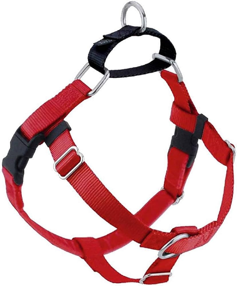 EZ Leash SM Harness