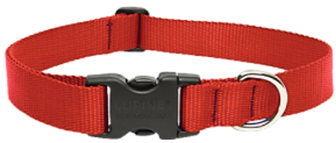 Lupine 1 16-28 Red Collar