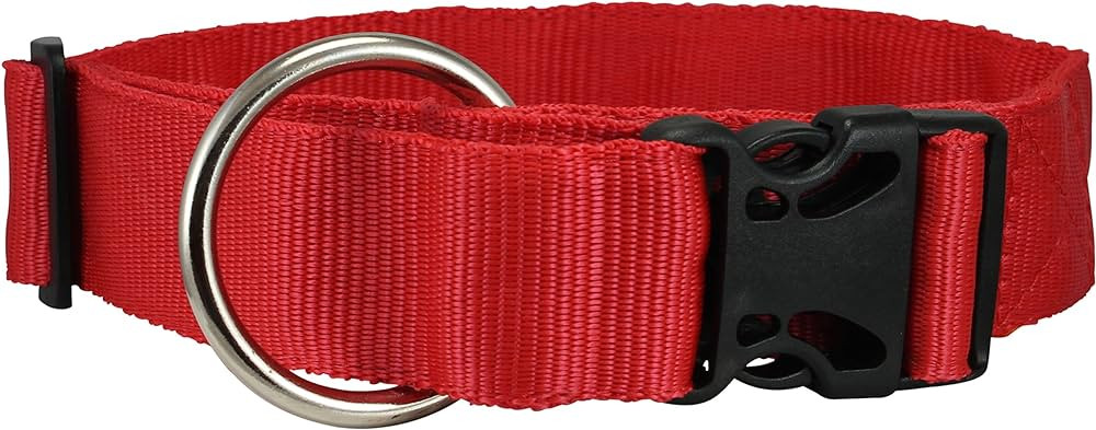 FP 1 Nylon Collar 18 Red