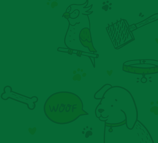 green cartoon bird and dog outline
