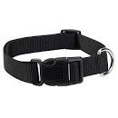 Zack and Zoey Collar 14-20 Blk