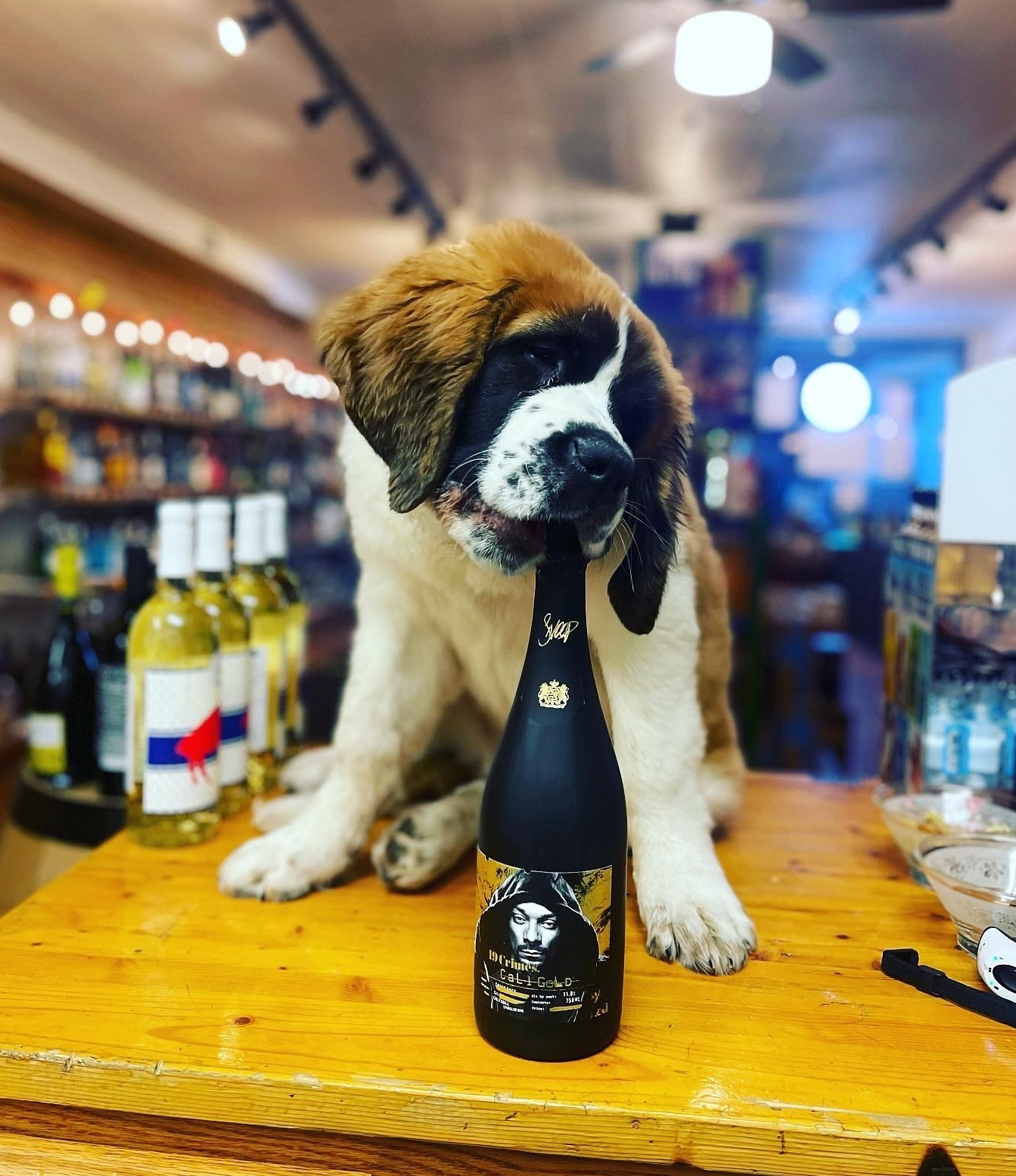 Caledonia Wine & Spirits