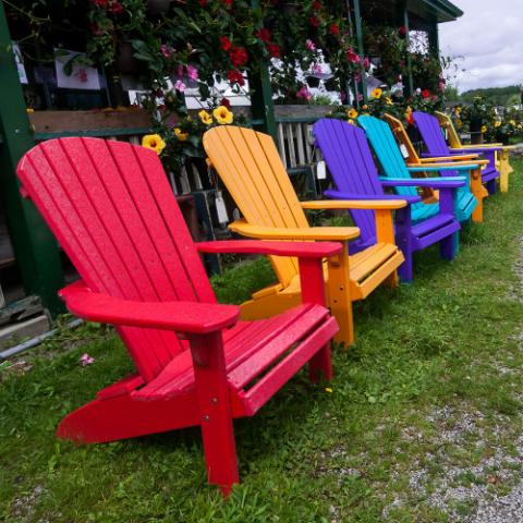 Premium Bright Colors
