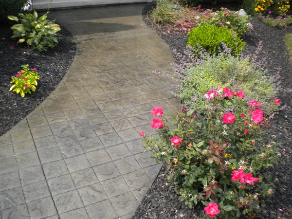 A new slate walkway with pink flowers along the path.