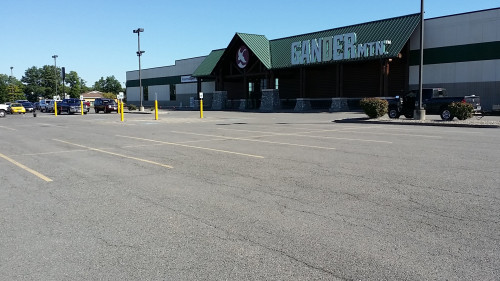 Large outdoor store with green roof and empty parking lot under a clear blue sky.