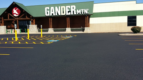 Gander Mountain store with empty parking lot and clearly marked yellow parking lines.