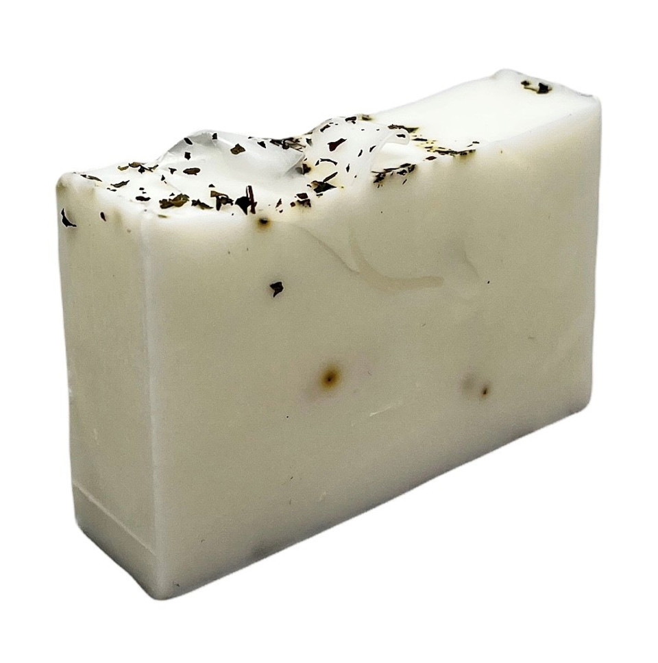 Camp Soap - Bugs Hate It, You Love It! Soap Bar