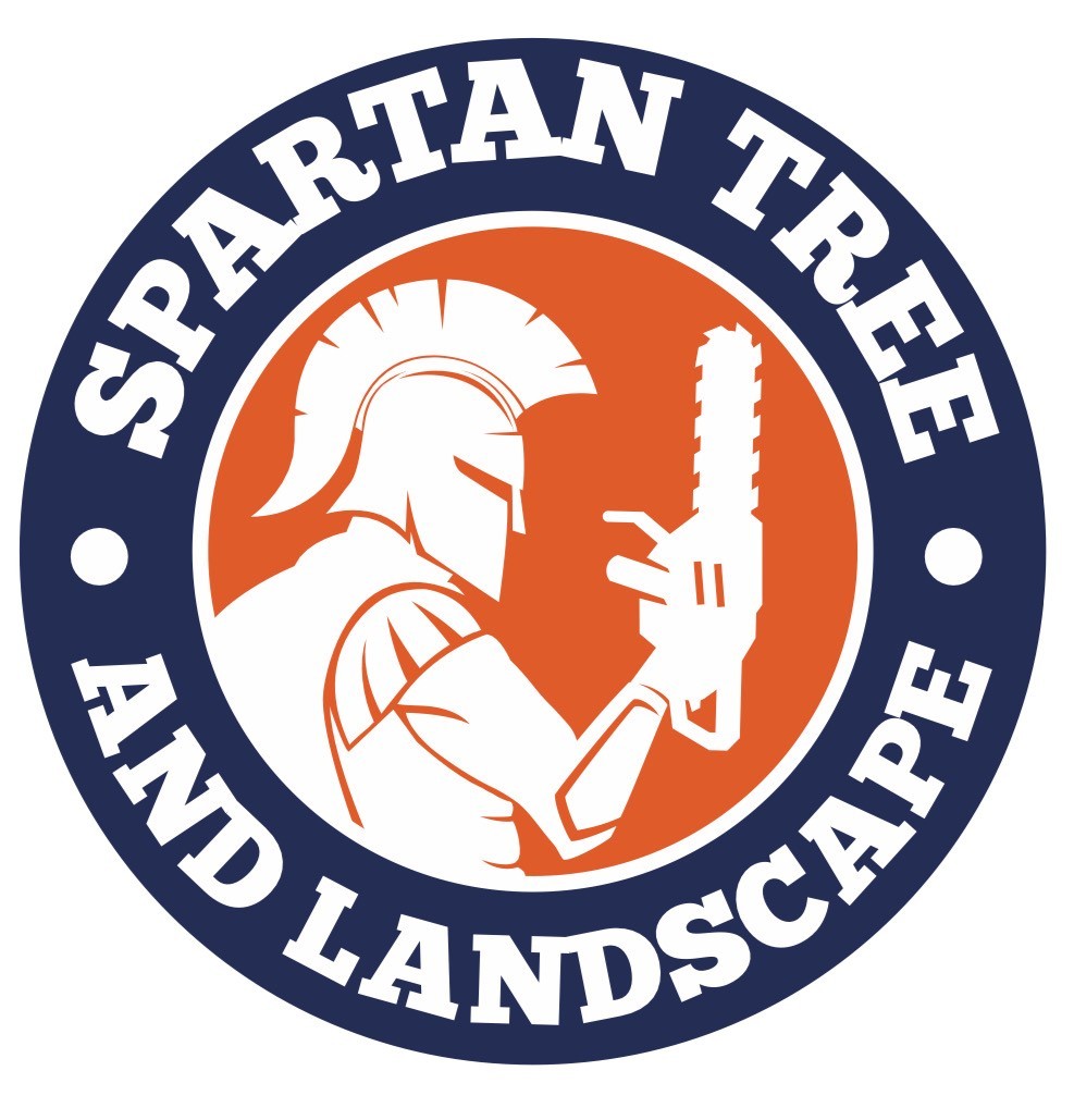 Spartan Tree and Landscape
