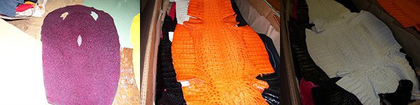 Exotic Motorcycle Fabric