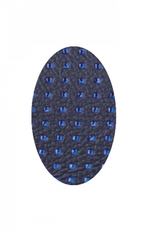 Barracuda Blue