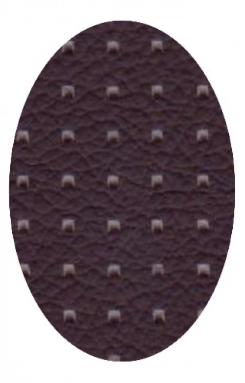 Barracuda Flint