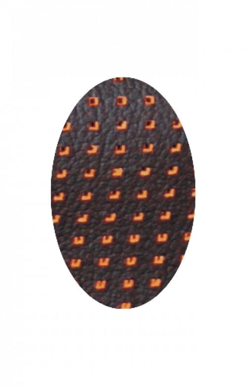 Barracuda Orange