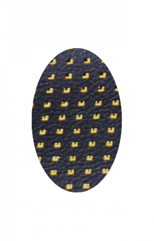 Barracuda Yellow