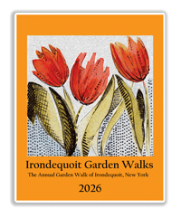 2026 limited poster