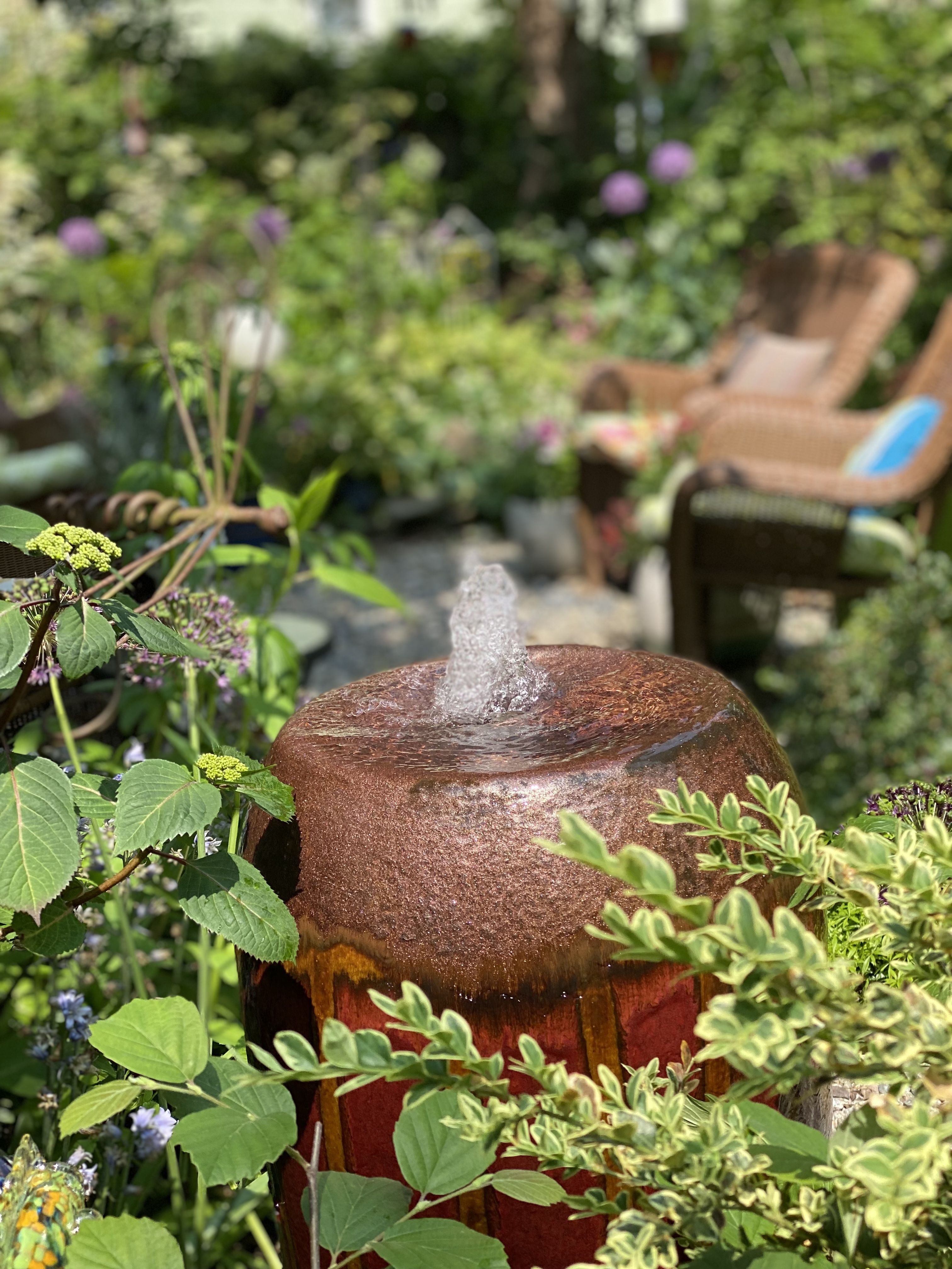 Richard Episcopo garden spotlight photo