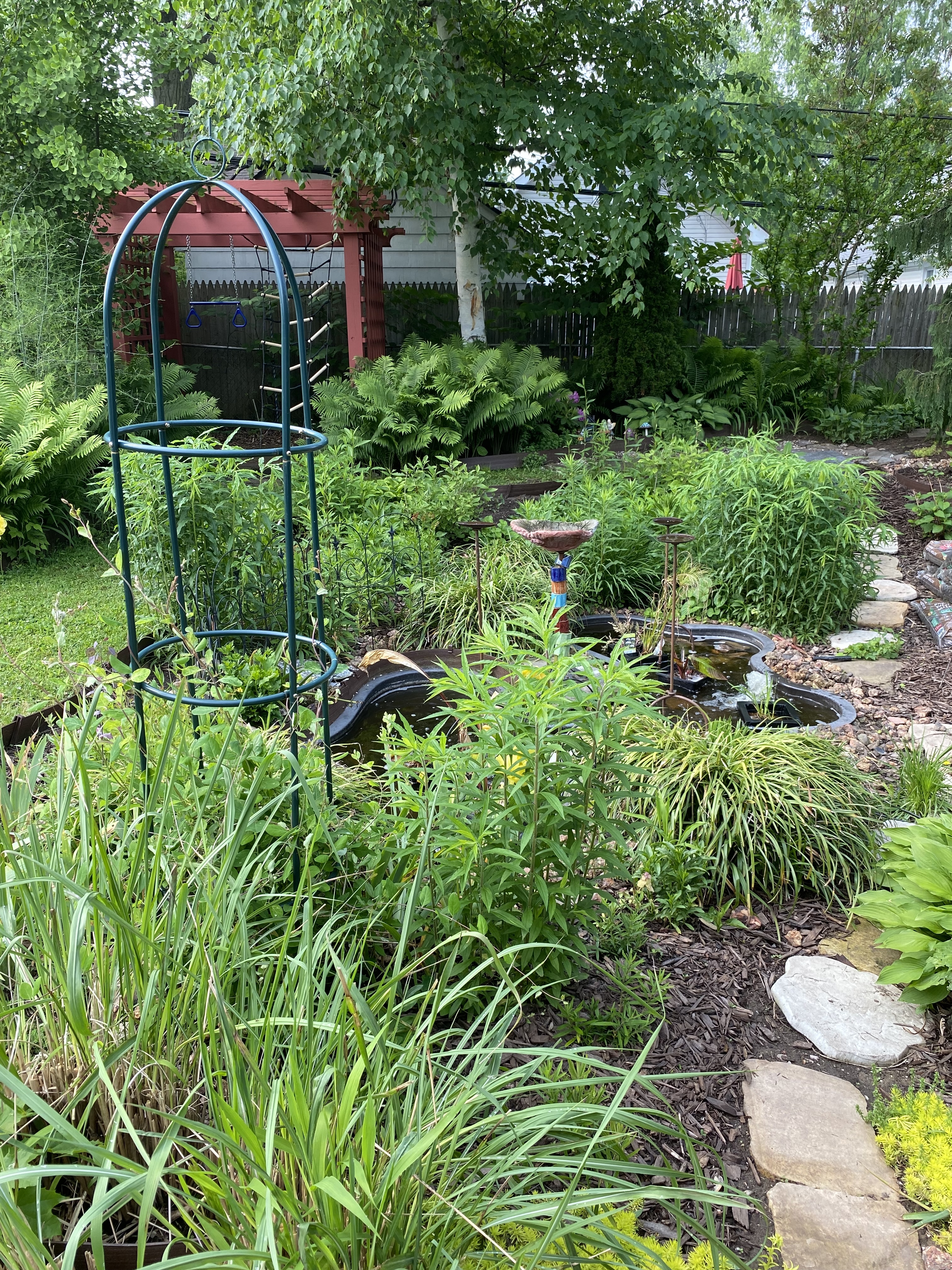 Marion Oyer garden spotlight photo