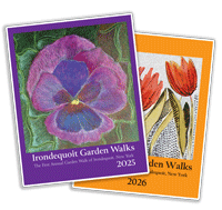 2025 and 2026 limited poster bundle