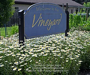 Vineyard Church Welcome Center