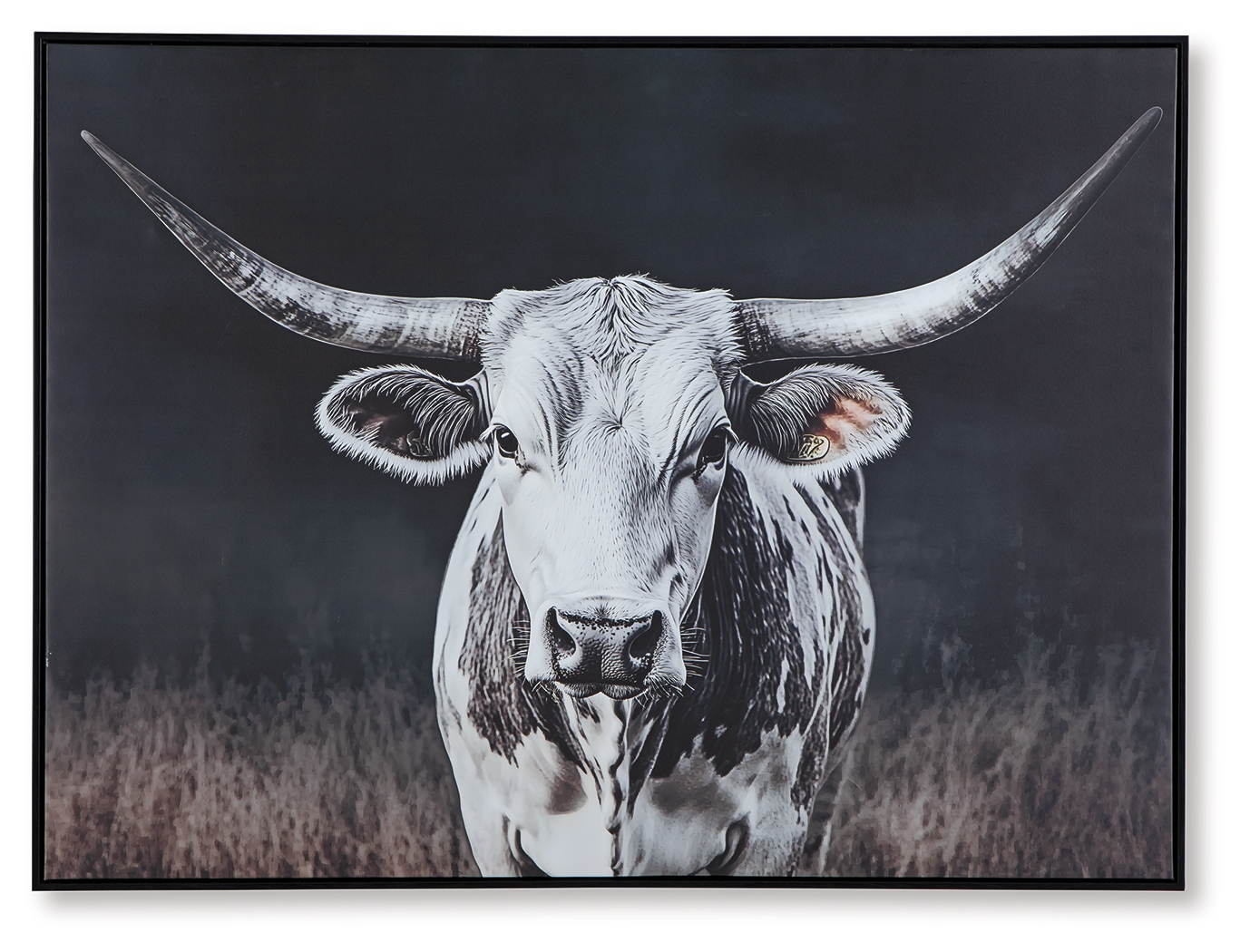 Harlandale - Wall Art - Black / White / Brown