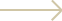 A thin, light gray right-pointing arrow on a white background.
