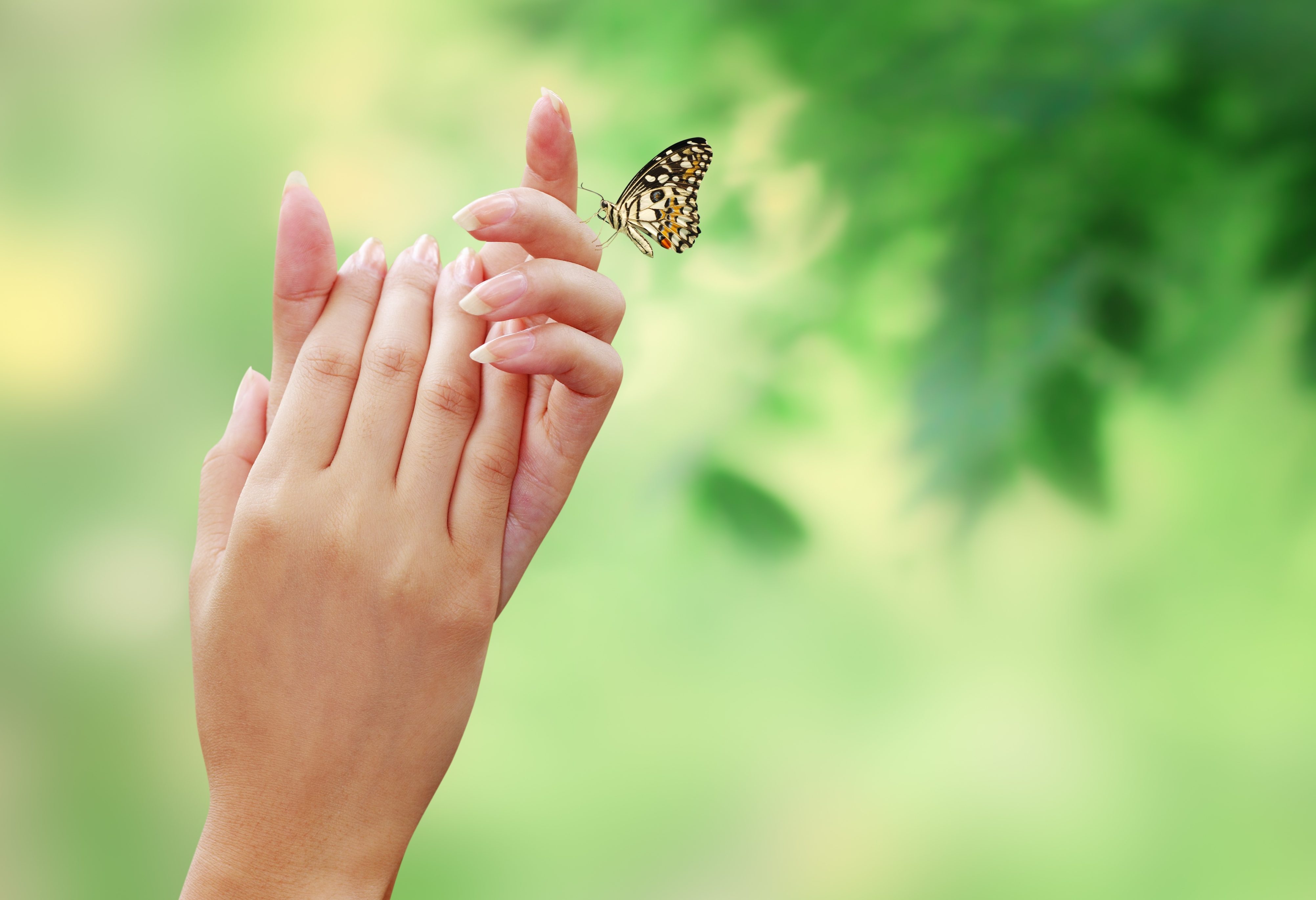 Hands with a butterfly about to land on them.
