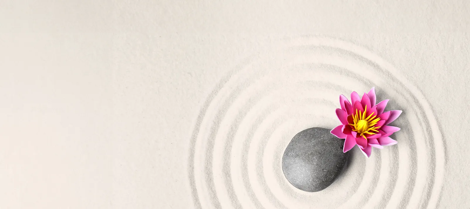 a rock and flower in white sand with circular rings in the sand around them