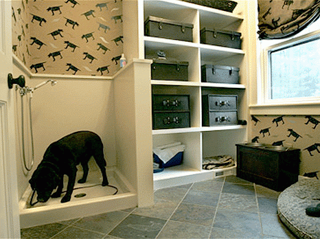 mud rom with dog shower