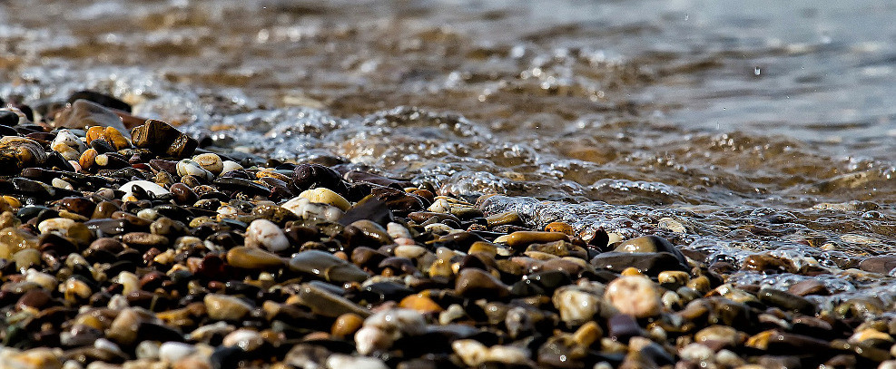 "Mother Nature Has the Best Box of Crayons"