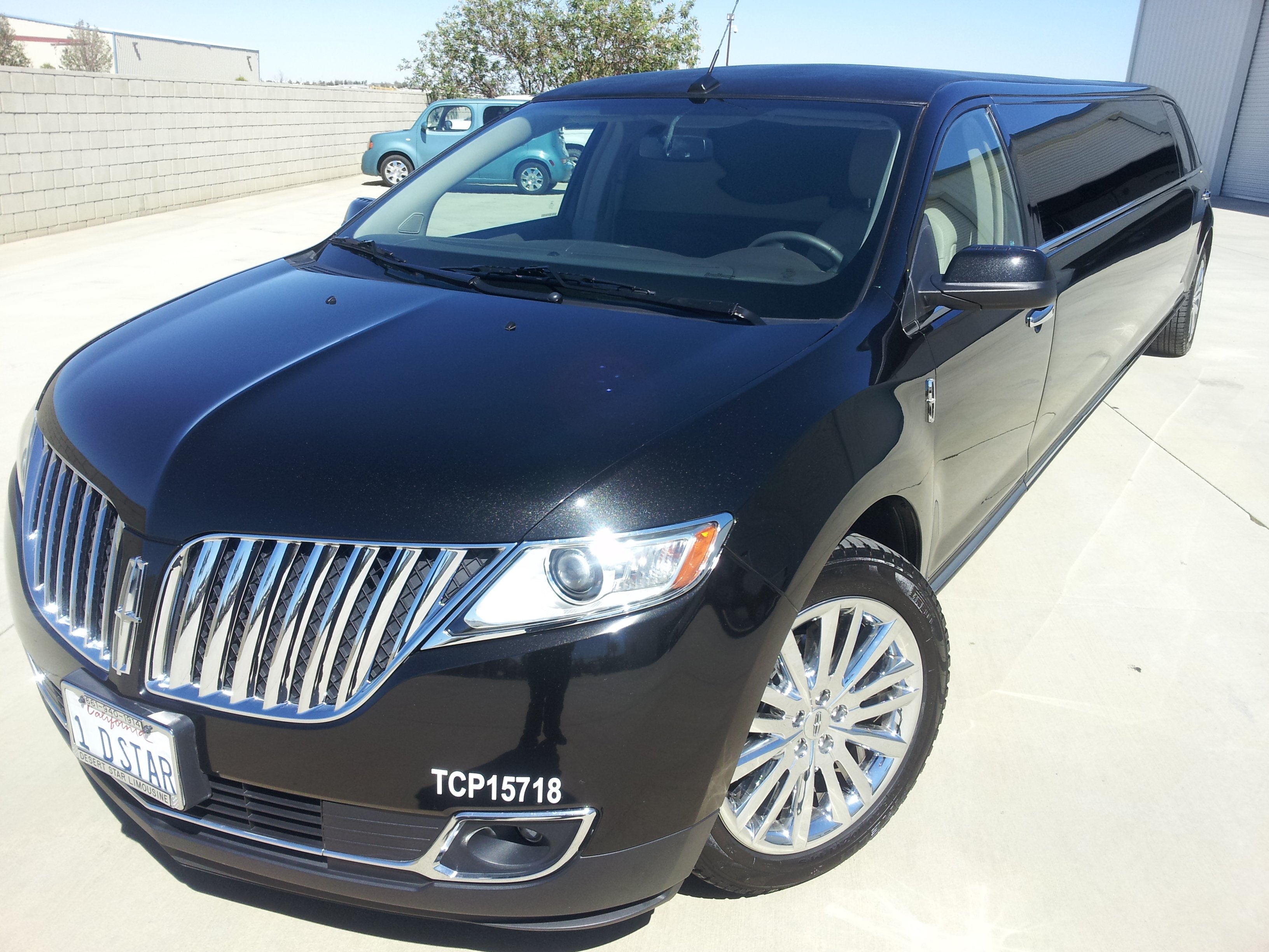 10 Passenger SUV Limo