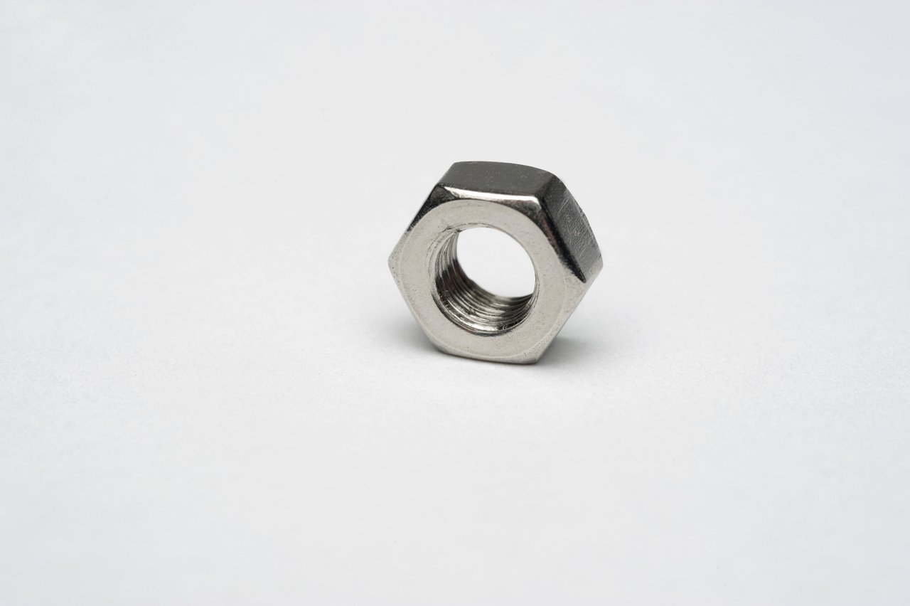 Stainless Nuts