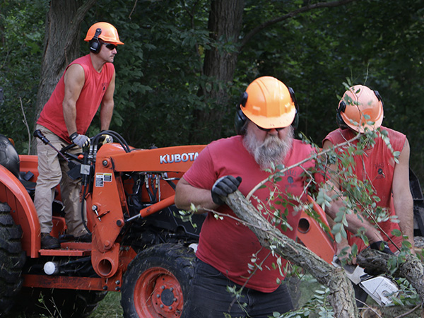 men moving tree branches