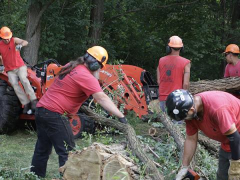 oakes tree service employees moving branches