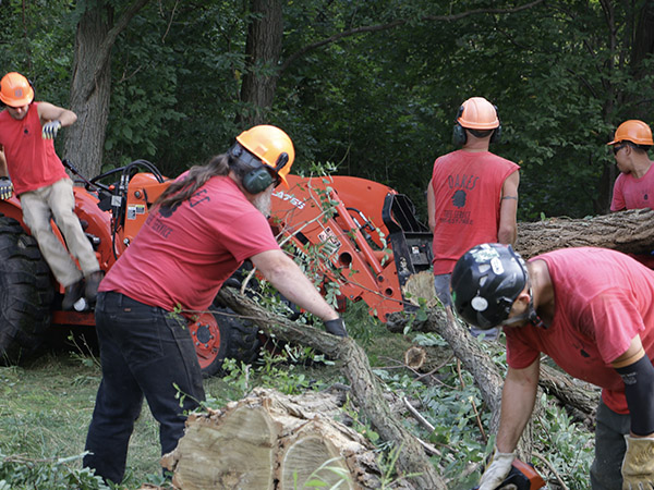 oakes tree service employees moving branches