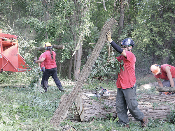 man holding tree branch