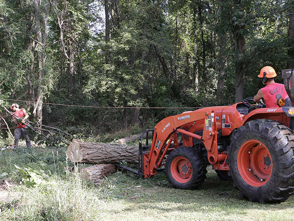 worker on a tractor moving a fallen tree