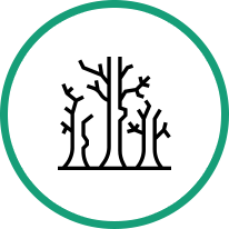 Tree removal icon